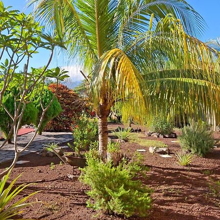 Hotel Jardin Garden De Granada Nicaragua מראה חיצוני תמונה
