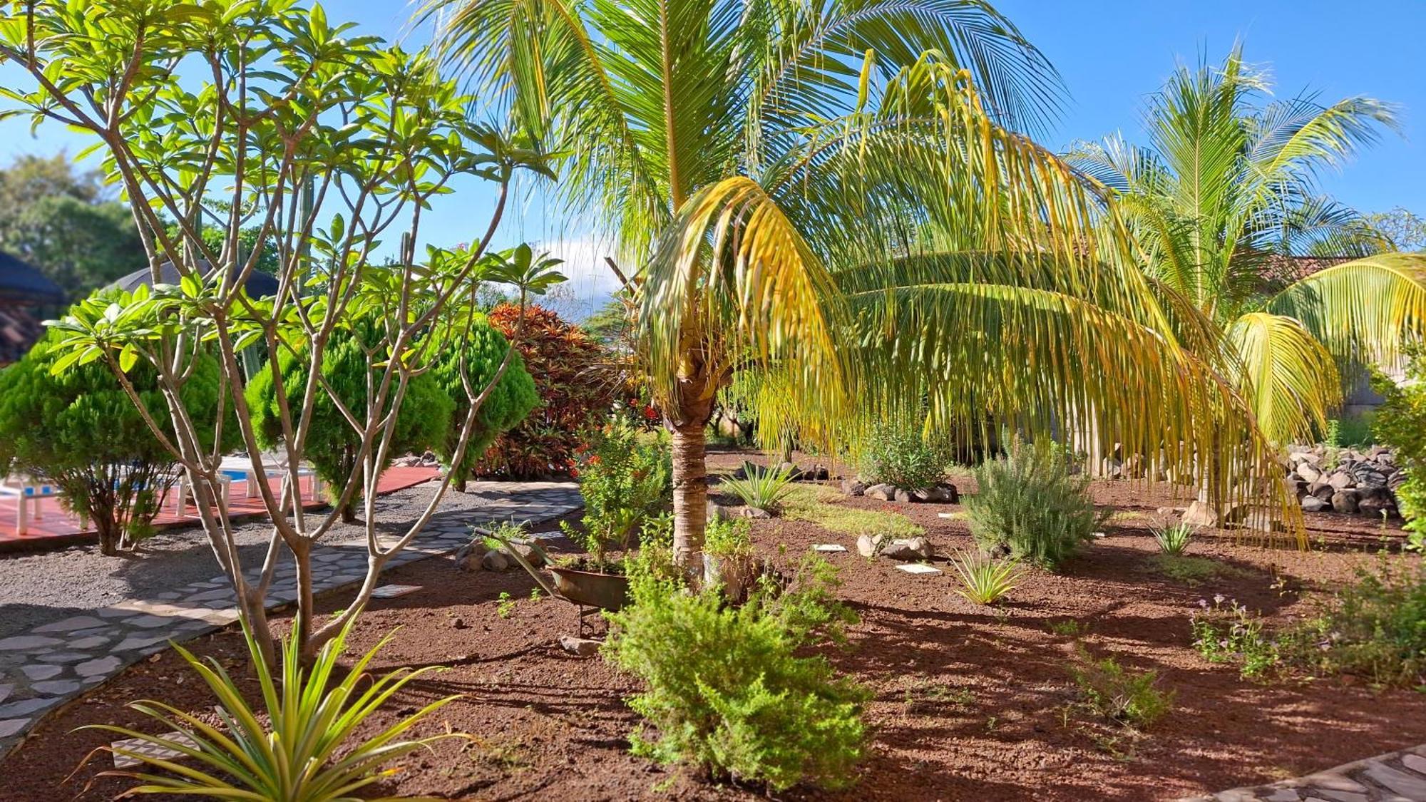 Hotel Jardin Garden De Granada Nicaragua מראה חיצוני תמונה