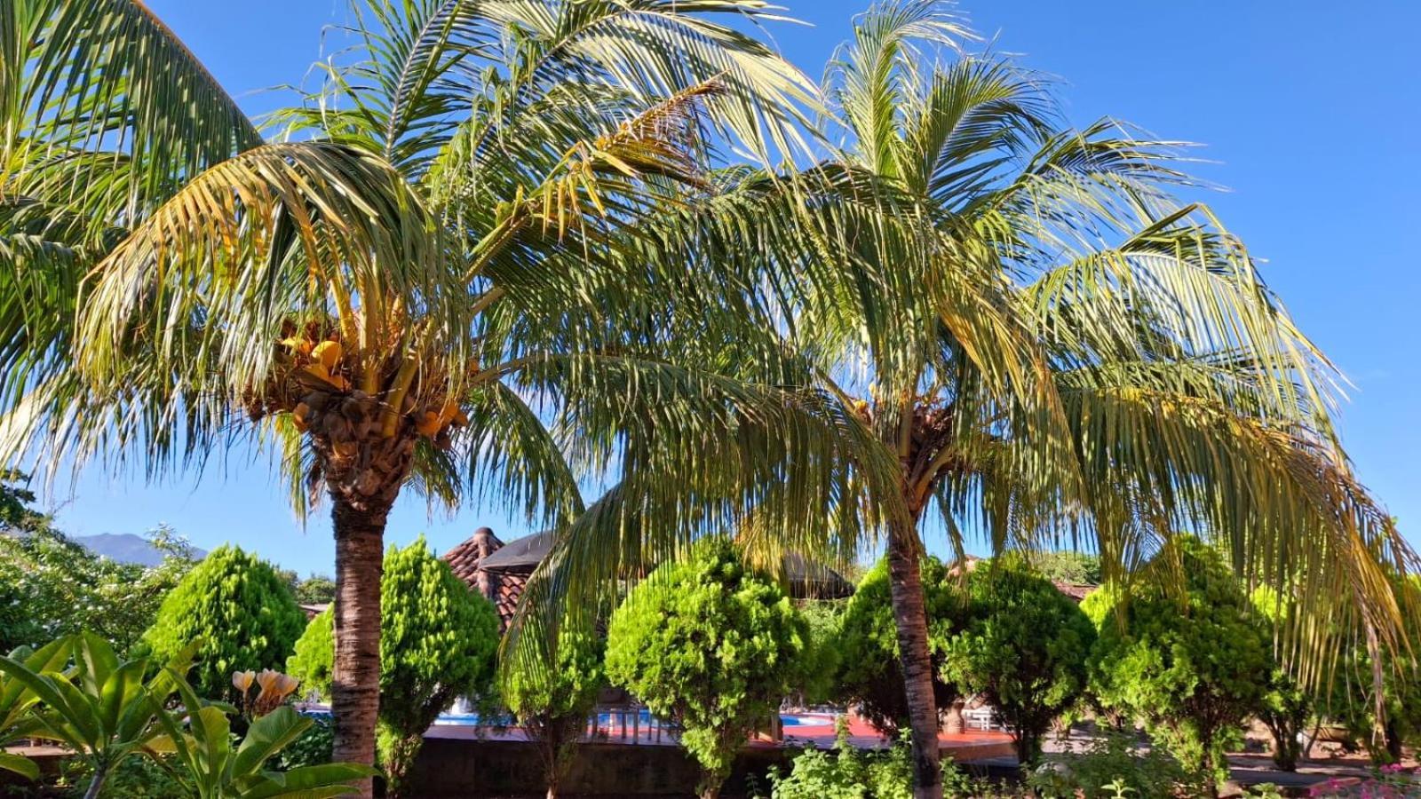 Hotel Jardin Garden De Granada Nicaragua מראה חיצוני תמונה
