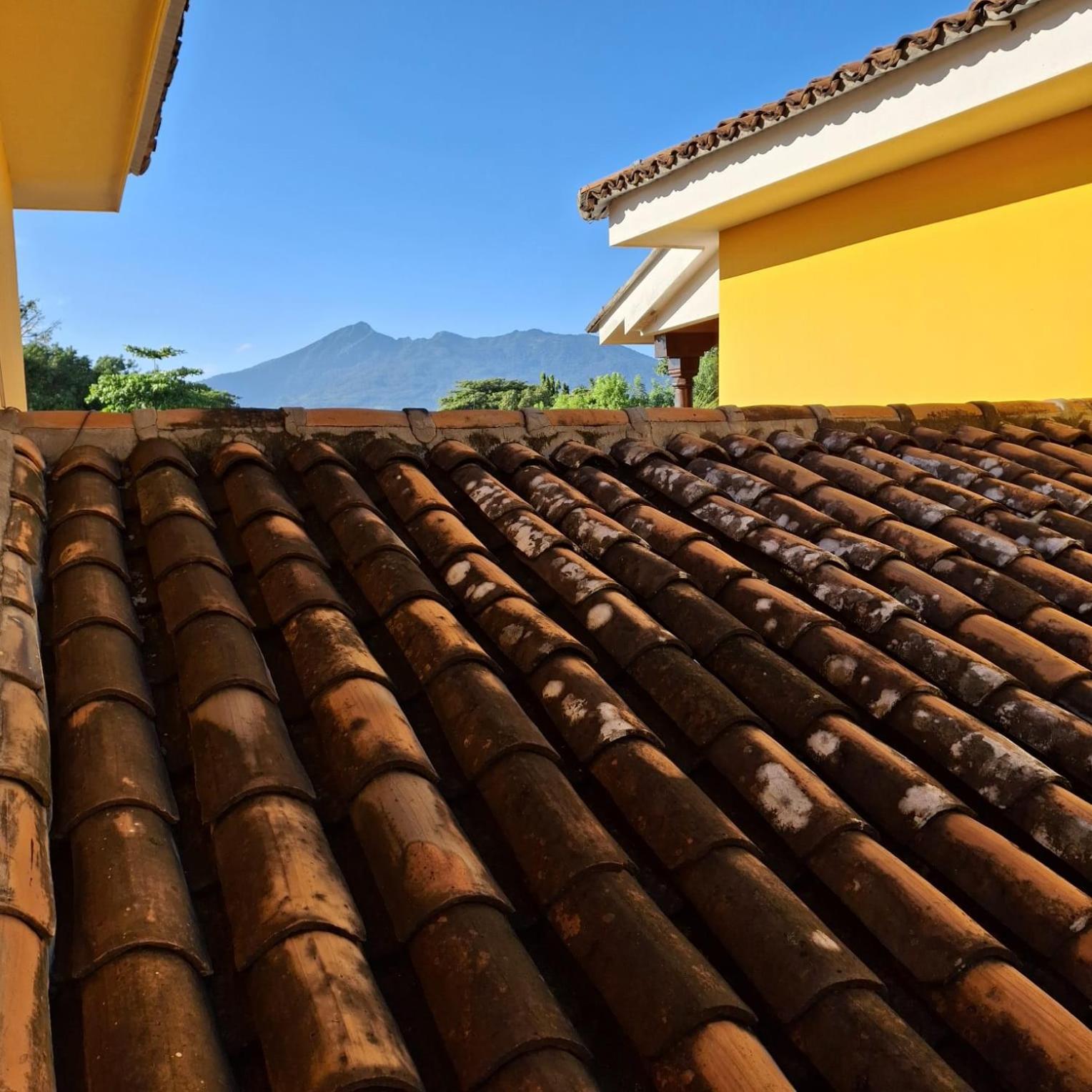 Hotel Jardin Garden De Granada Nicaragua מראה חיצוני תמונה
