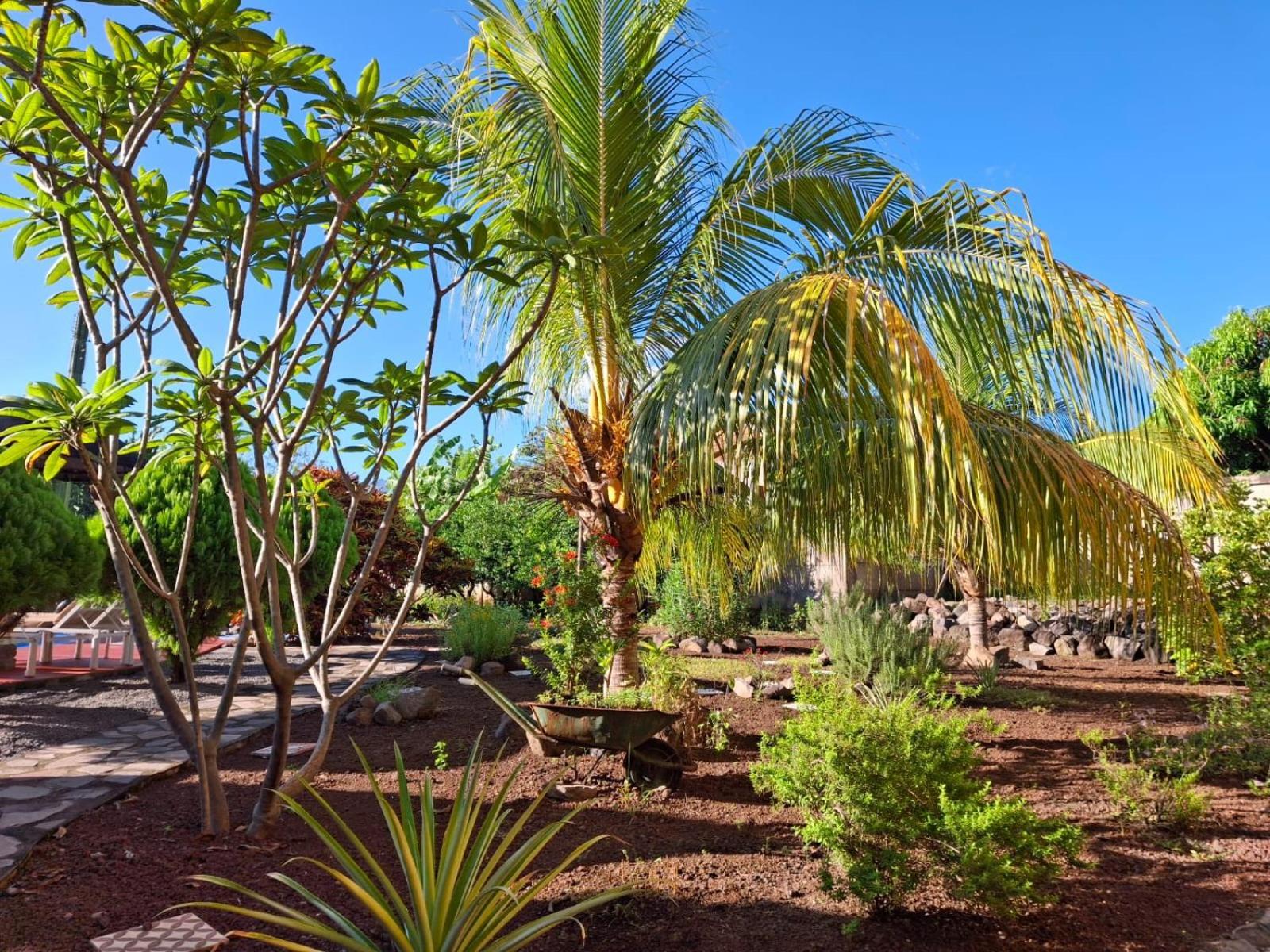 Hotel Jardin Garden De Granada Nicaragua מראה חיצוני תמונה