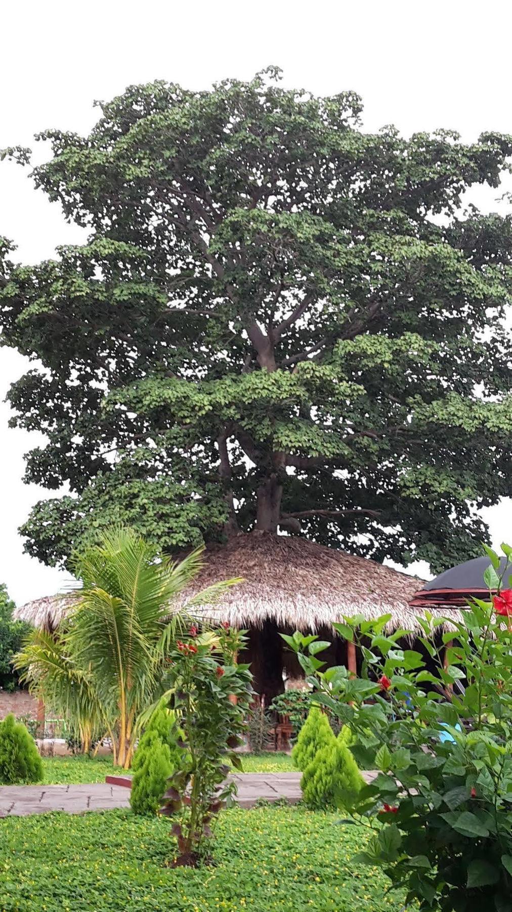 Hotel Jardin Garden De Granada Nicaragua מראה חיצוני תמונה