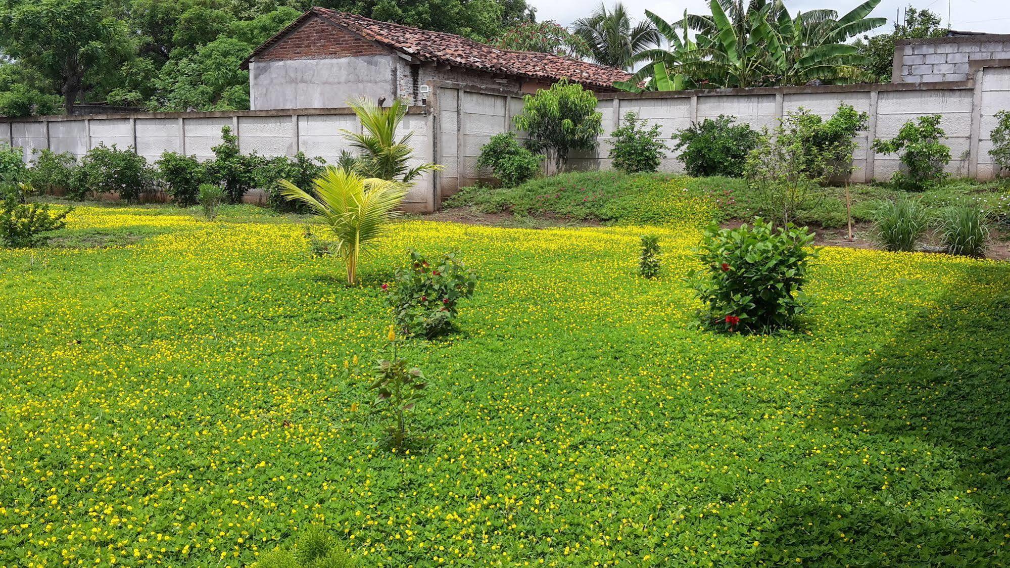 Hotel Jardin Garden De Granada Nicaragua מראה חיצוני תמונה